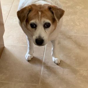 Meet your Posher, Monica